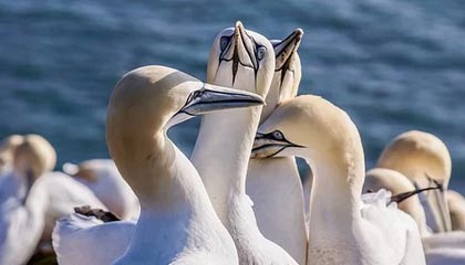 星空天美免费MV观看完整版:解锁视听盛宴,尽享音乐魅力