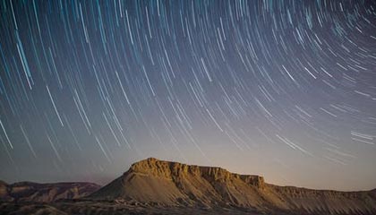 邂逅野花之美：解锁免费在线观影新体验