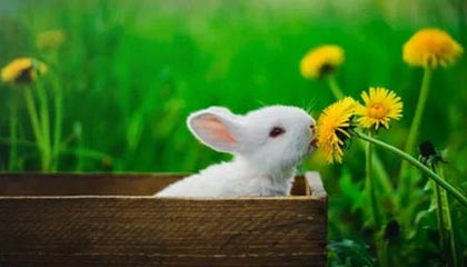 星空天美免费MV观看完整版：解锁视听盛宴，尽享音乐魅力