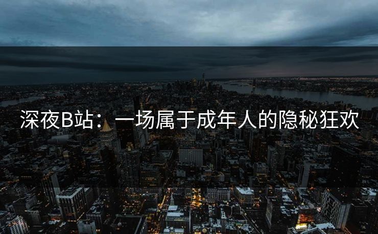 深夜B站：一场属于成年人的隐秘狂欢