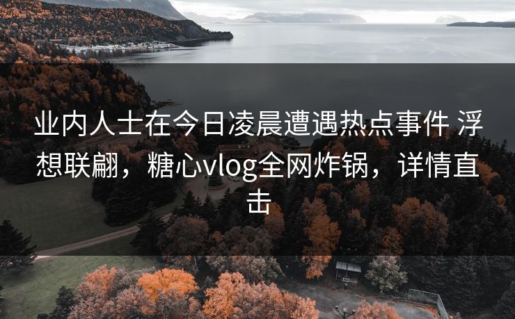 业内人士在今日凌晨遭遇热点事件 浮想联翩，糖心vlog全网炸锅，详情直击